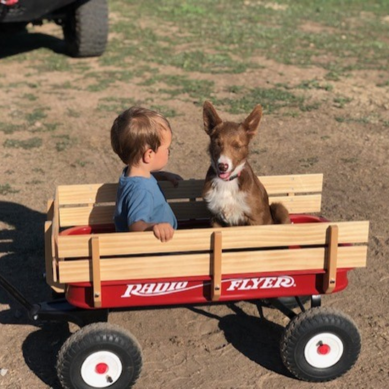 Wiley and his Pup