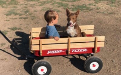 Raising A Young Rancher